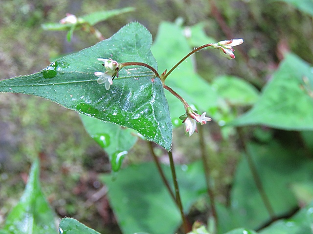 f0357487_23151157.jpg