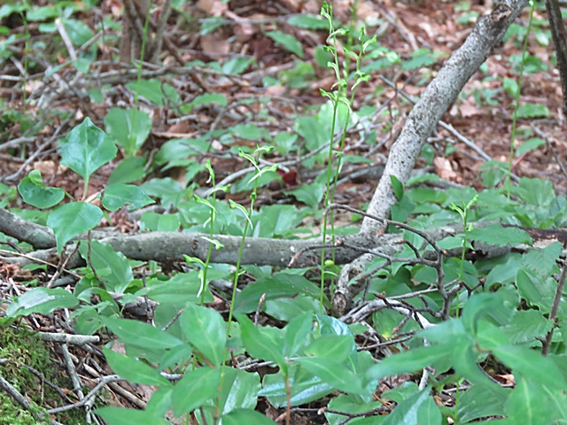 f0357487_23203171.jpg