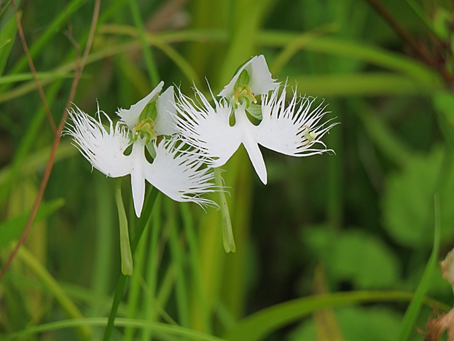 f0357487_2340830.jpg