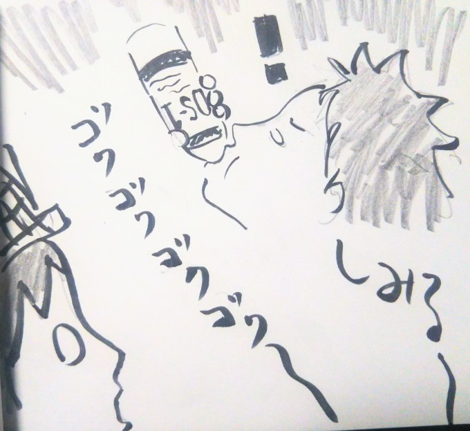 真夏の思い出2 熱中症&対策_b0210688_16574234.jpg