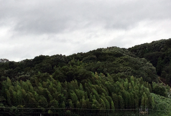 c0386291_10013556.jpg