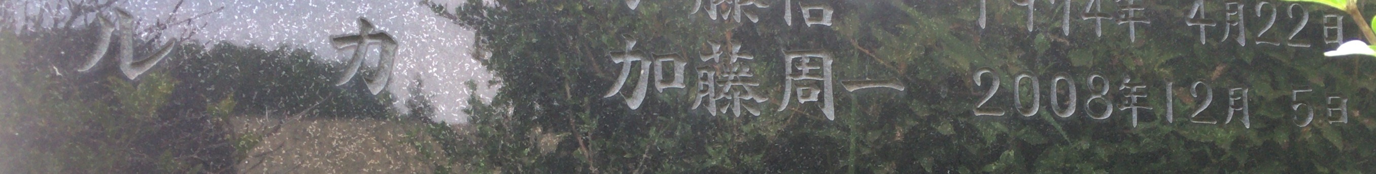 加藤周一（1919～2008） : 著名人の墓巡り～昭和の偉人と出会う旅～
