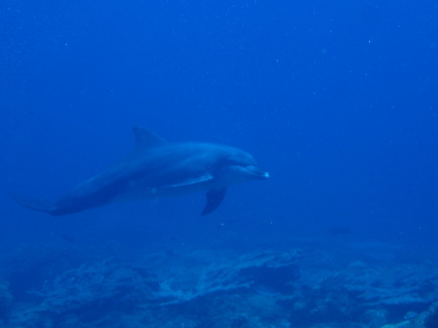 e0115199_12334567.jpg