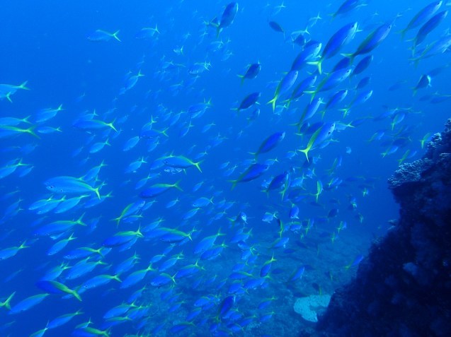 e0115199_13563805.jpg