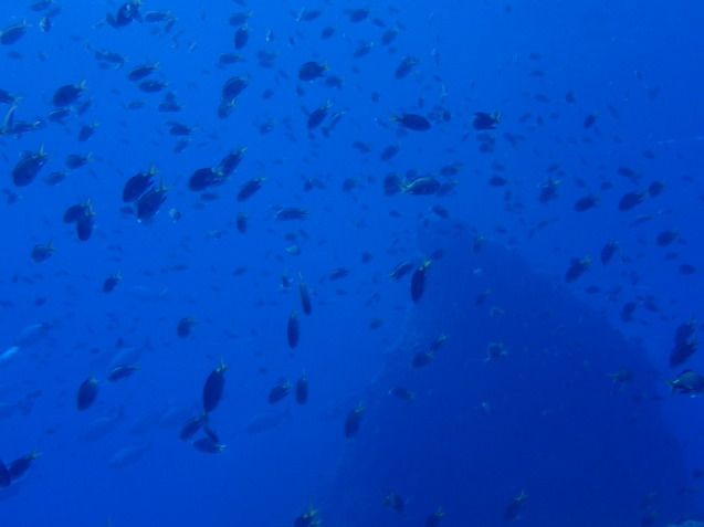 e0115199_16014923.jpg