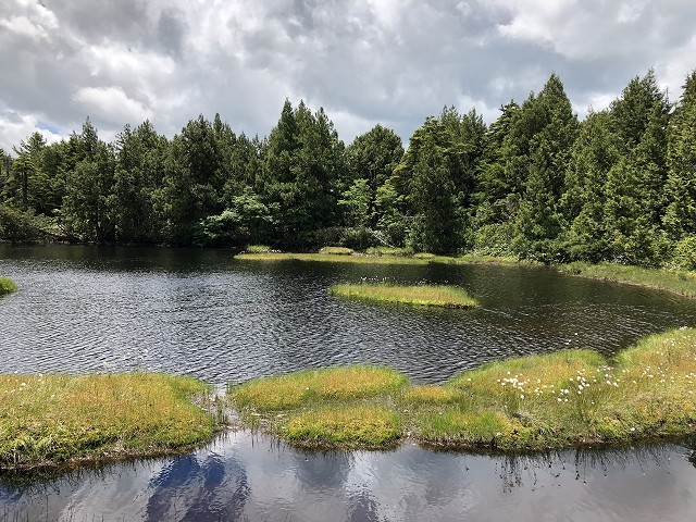 c0124100_13360837.jpg