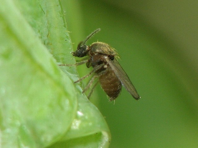 b0127002_16595683.jpg