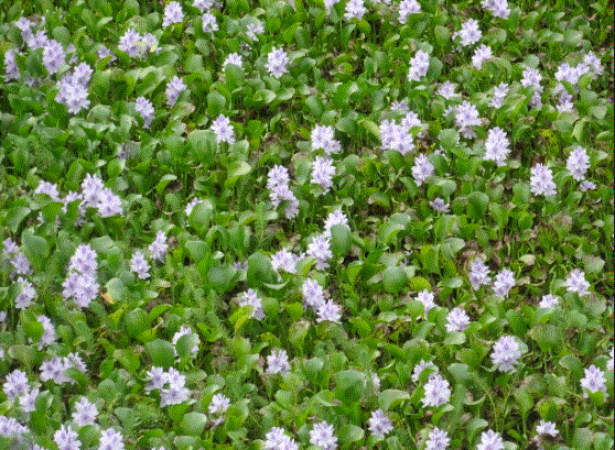 f0231709_21510079.gif