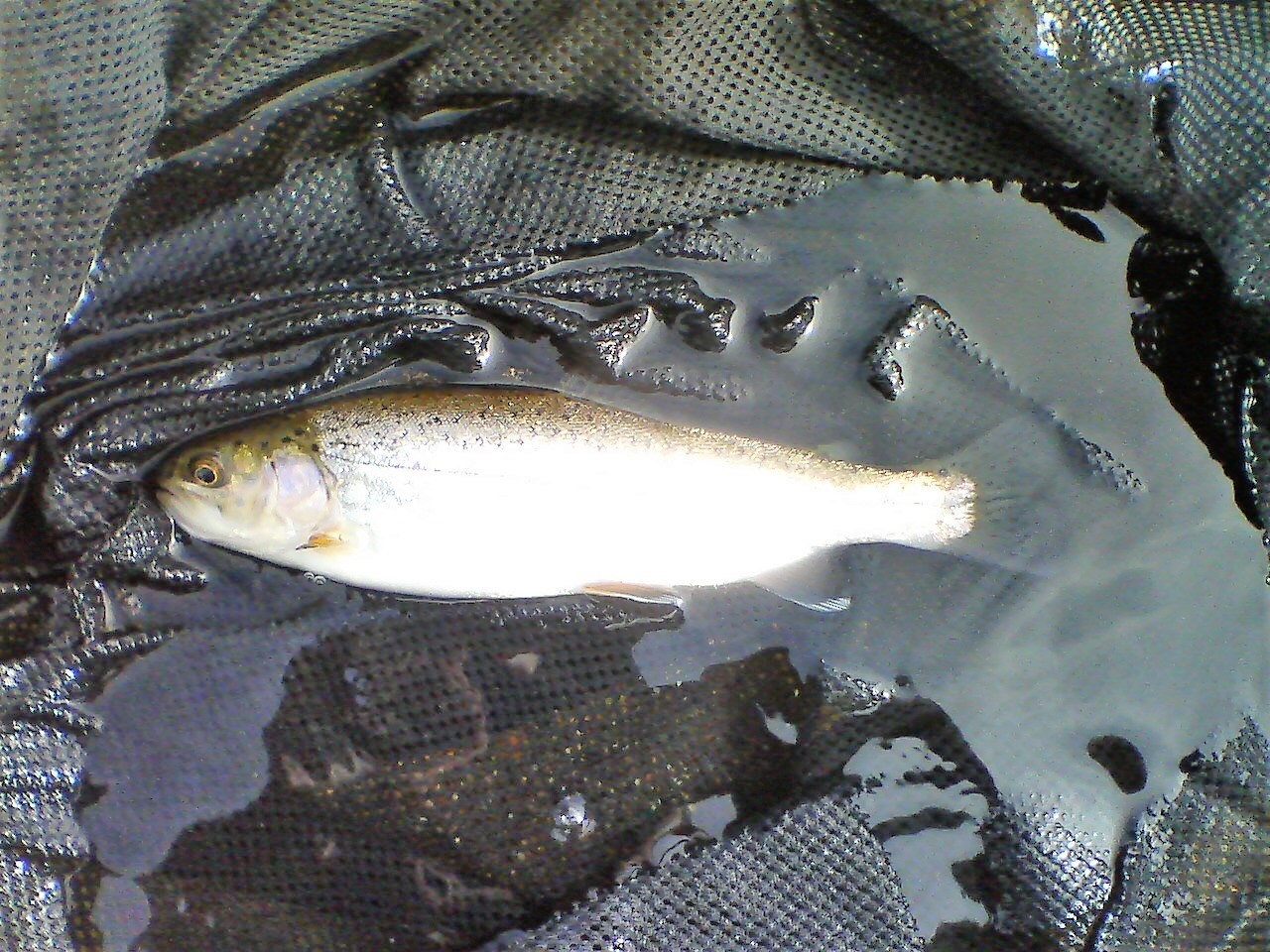 f0280717_05575828.jpg