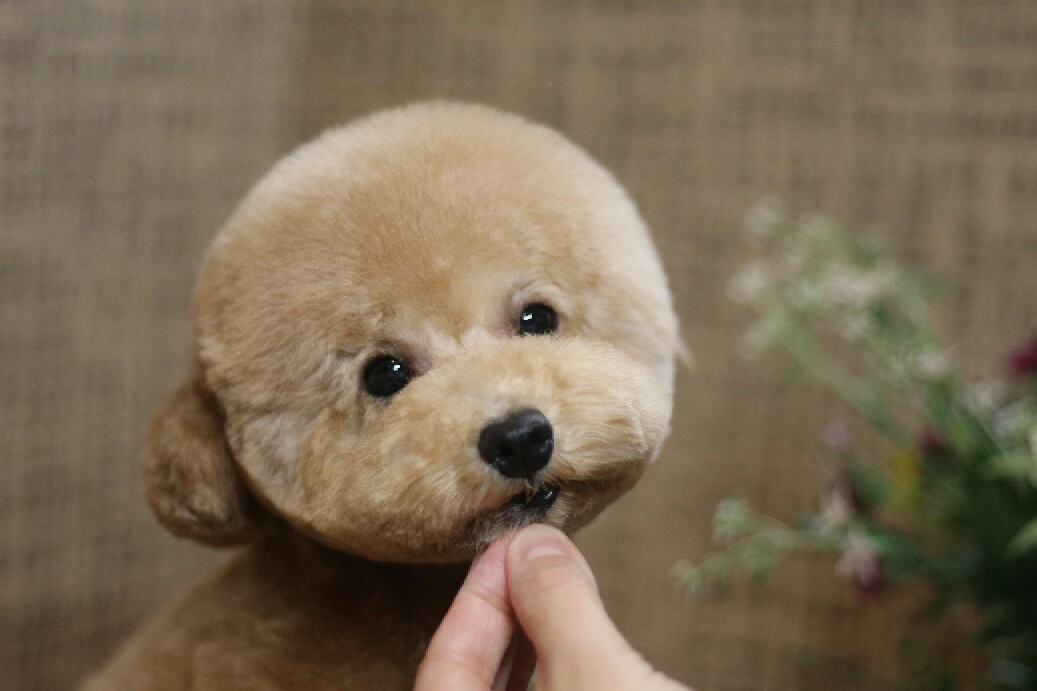 8月5日にご来店のお客様です！！_b0130018_08113705.jpg