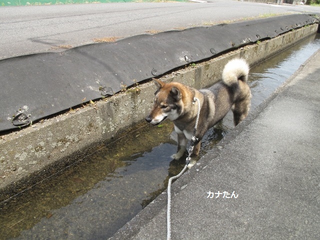 f0143123_08103747.jpg