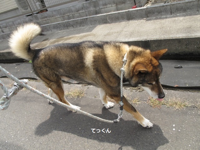 f0143123_08104393.jpg
