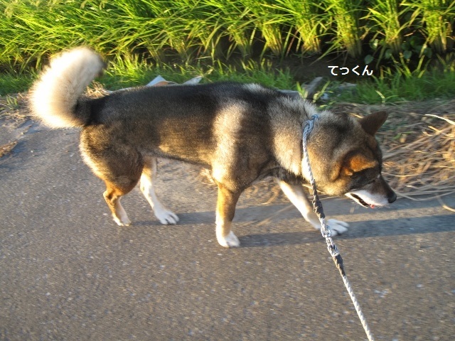 f0143123_08105026.jpg