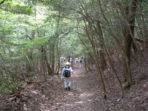 f0213825_13344652.jpg