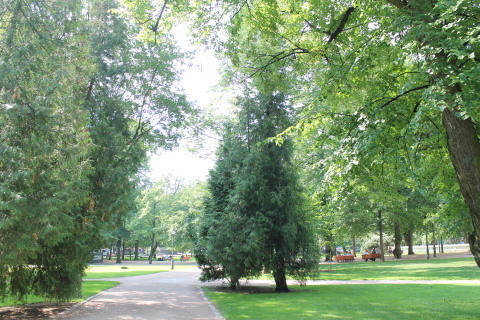 b0345432_18235786.jpg