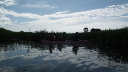 c0185132_20385482.jpg