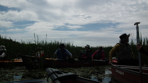 c0185132_20504279.jpg