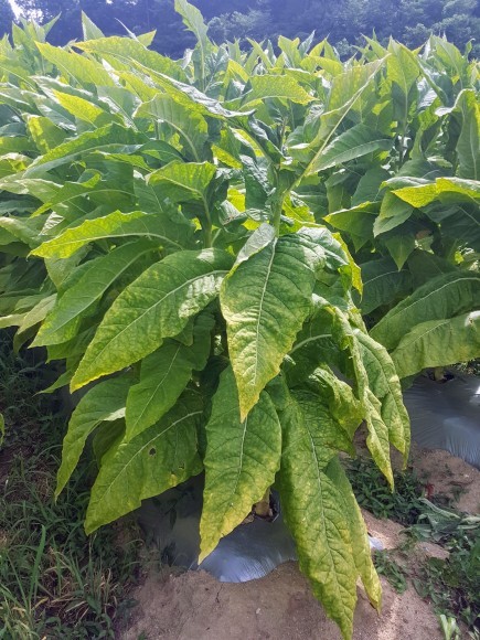 d0269832_11045991.jpeg