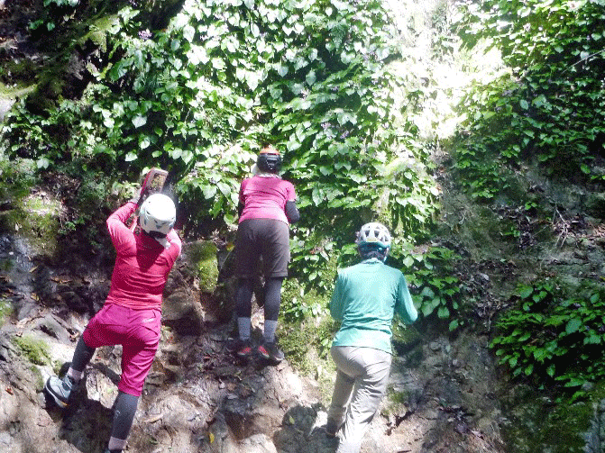e0371039_1421620.gif