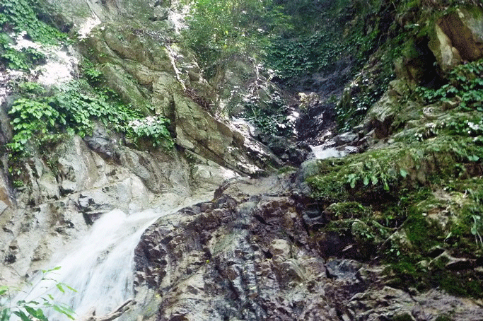 e0371039_1423061.gif