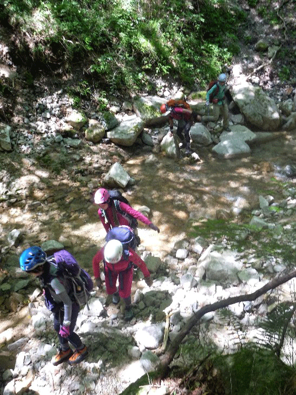 e0371039_1424845.gif