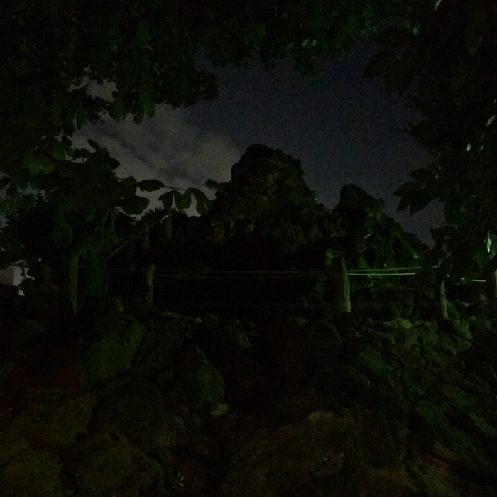 ついに江戸七富士を全て登頂成功！_c0060143_21262210.jpg