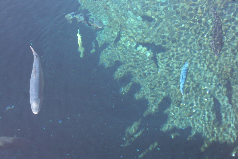 e0343944_18044460.jpg