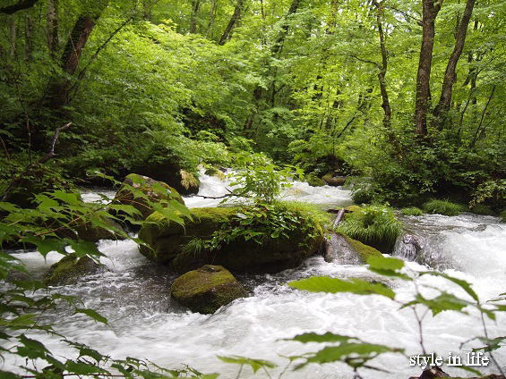 b0150155_14260014.jpg