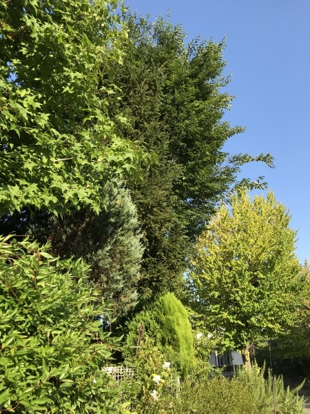 d0298558_01065000.jpeg