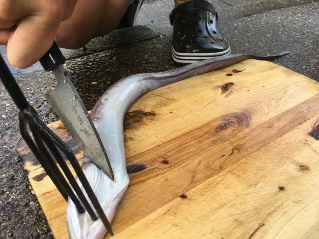 e0187064_13101317.jpeg