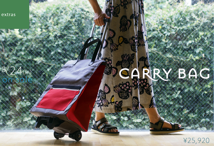 「carry bag 」でラクラクお出かけ_e0243765_20471408.jpg