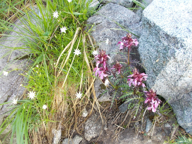 c0219866_13304540.jpg