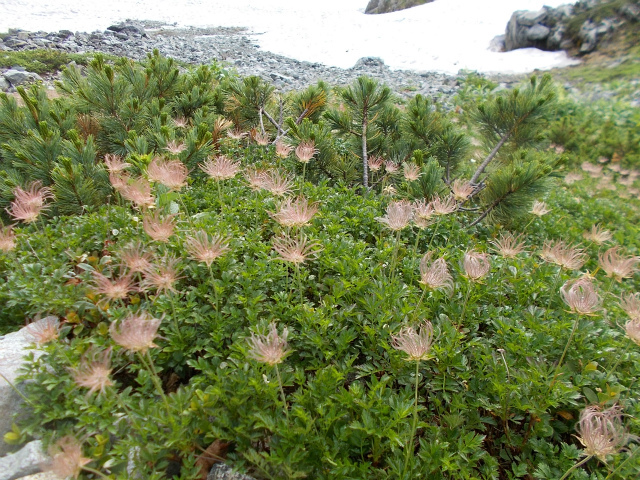 c0219866_13331267.jpg