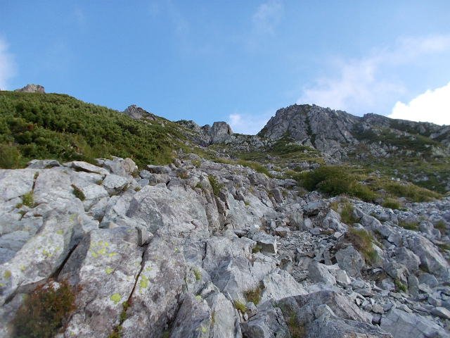 c0219866_13352822.jpg