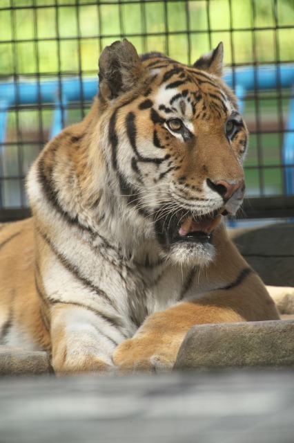 a0188771_23323472.jpg