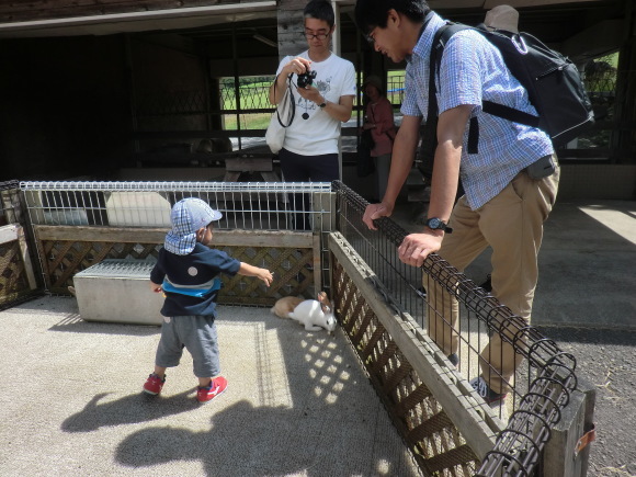 動物たちとのふれあい_d0225173_11272051.jpg