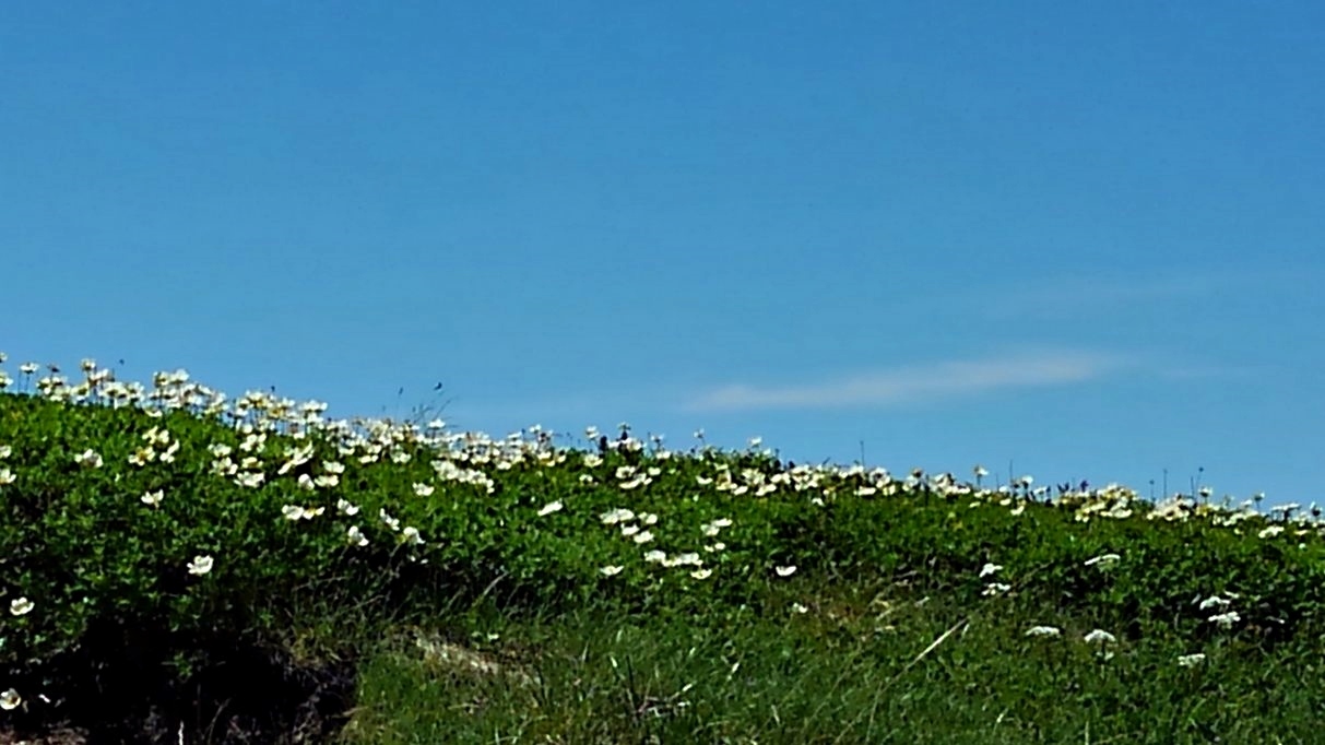 e0385174_06223039.jpg
