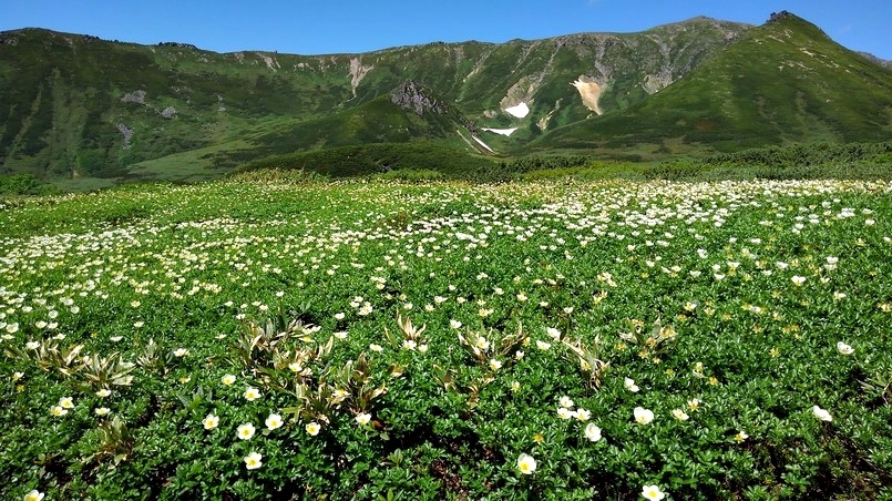 e0385174_06230460.jpg