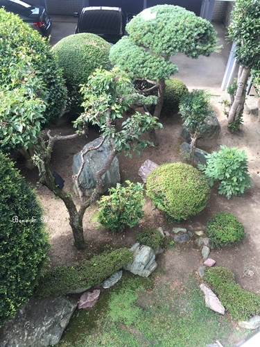 c0283778_15471392.jpg