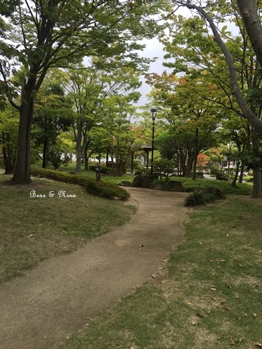 c0283778_15543781.jpg