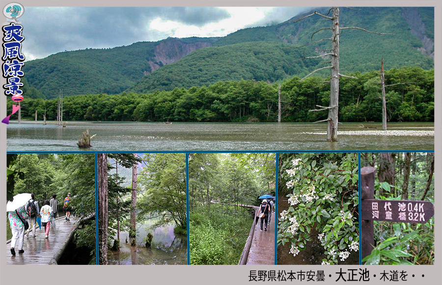 c0009981_01401749.jpg