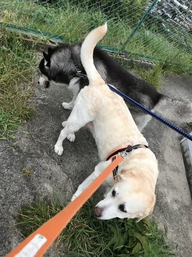 f0315081_21353574.jpeg