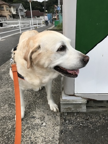 f0315081_21374604.jpeg