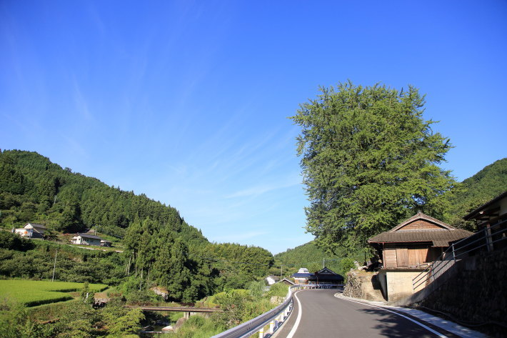 c0358784_19334839.jpg