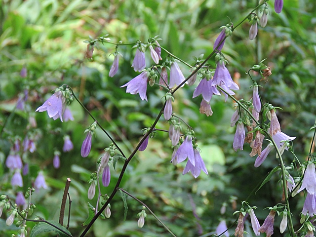 f0357487_024061.jpg