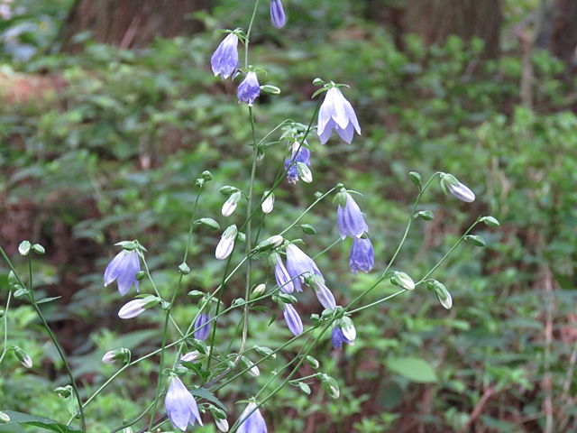 f0357487_0252291.jpg