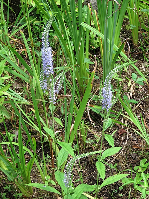 f0357487_0331875.jpg