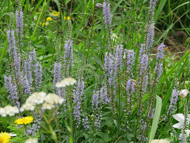 f0357487_036426.jpg