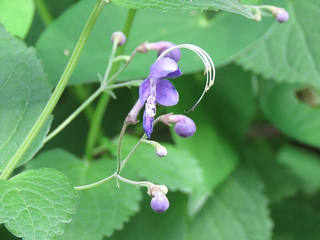 f0357487_0472049.jpg