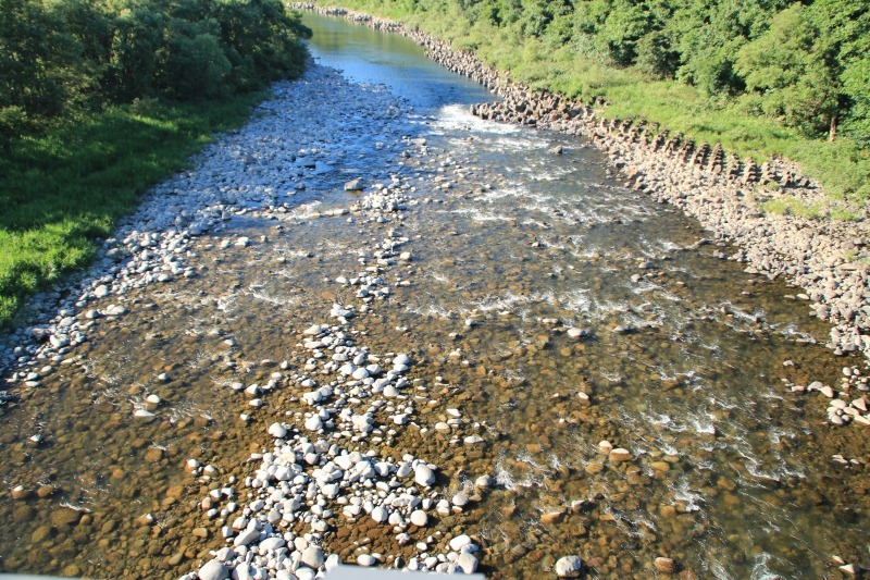b0207491_13061674.jpg